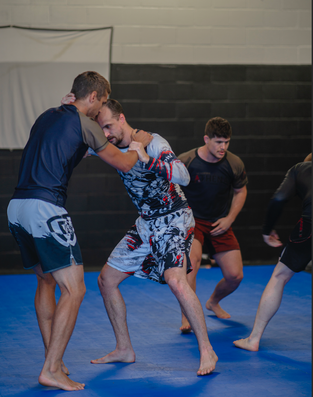 Jiu-jitsu brésilien adulte - Accès illimité